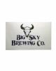 Big Sky Skull Transfer Sticker
